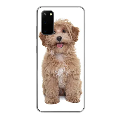 Produktbild von MuchoWow® Handyhülle Schutzhülle Hülle für Samsung Galaxy S20 Hund - Haustiere - Fell Silikon Softcase Handy Hülle - Bild