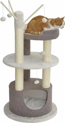 A cat is resting on a multi-level cat tree with scratching posts and hanging toys.