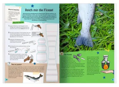 Produktbild von PhänoMINT Abgeschaut & Nachgebaut
