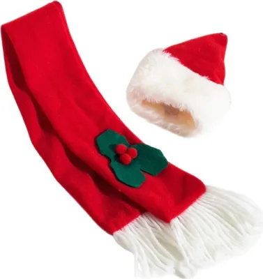 Produktbild von INF Weihnachts-Schal und Mütze für Haustiere - Festliches Kostüm Zubehör 2-teilig