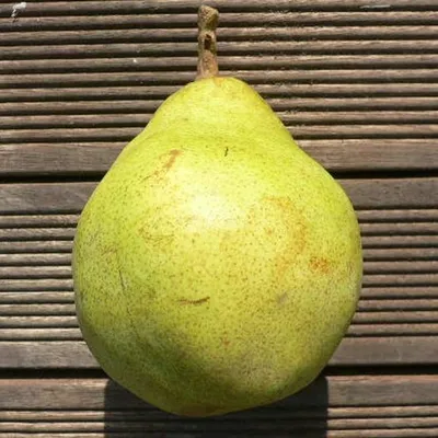 A single pear is placed on a wooden surface.