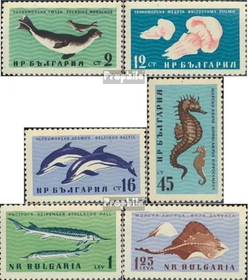 Produktbild von Briefmarken Bulgarien 1961 Mi 1243-1248 (kompl.Ausg.) postfrisch Tiere im Schwarzen Meer