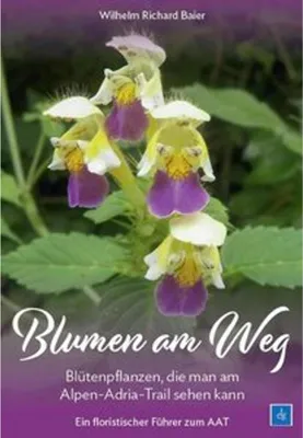 Produktbild von Blumen am Weg