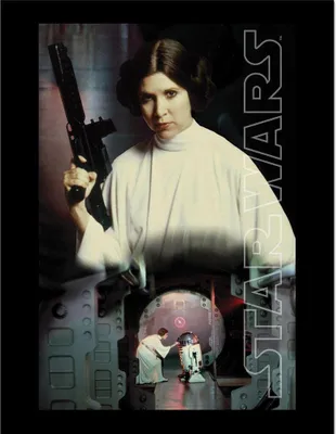 Immagine prodotto di Star Wars - Poster incorniciato "Leia Key Art" PM11693 (35 cm x 45 cm x 1,7 cm) (Nero)