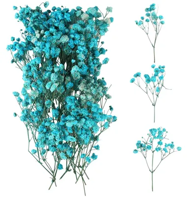 100 getrocknete Schleierkrautblüten, natürliche Blumen für DIY, 5-10 cm
