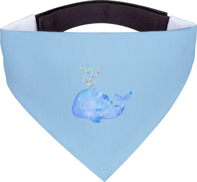 Produktbild von Mr. & Mrs. Panda Halstuch Für Hunde Wal Konfetti - Blau Pastell - Geschenk, Neustart, Geburtstag, Trennung, Meer, Diät, Wale, Hund, Tuch, Hundehalstuch