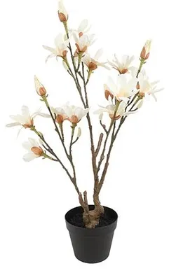 Immagine prodotto di Countryfield Pianta artificiale Magnolia – Bianca – Ø 25 cm – Altezza 73 cm