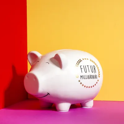 Image de Tirelire Cochon Xxl