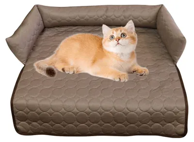Imagen del producto de Cama para perros, transpirable y portátil