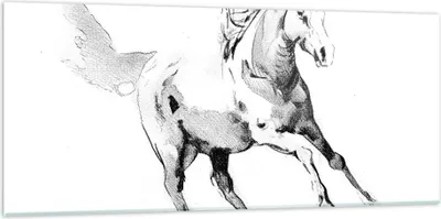 Produktbild von Bilder auf glas - Einteilig - Pferd Galopp Tier - 120x50cm - Glasbilder - Wandbilder - Bilder - zum Aufhängen bereit - Wanddekoration aus Glas - Glas Bilder - Wandbild auf Glas - GAB120x50-5117