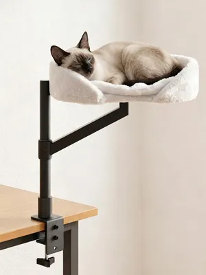 Katzenbett für Schreibtisch, höhenverstellbar, 360° drehbar, bis 10 kg, Weiß