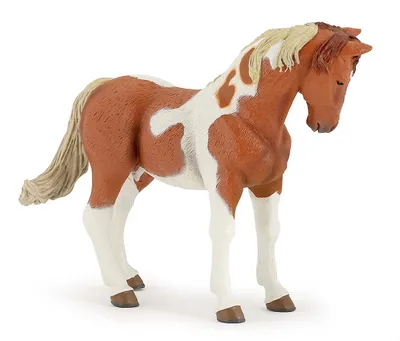 Produktbild von Papo Pinto Stute, 3 Jahr(e), Horses, foals and ponies, Mehrfarbig, PVC