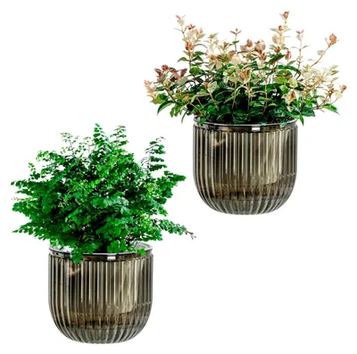 Produktbild von Selbstbewässerungstopf Pflanzentopf Blumentopf übertopf, Ø 16.5cm 2er-Pack übertöpfe für Zimmerpflanzen Pflanztöpfe, Blumentöpfe Hydrokultur Topf, Blumenkübel Outdoor Pflanztopf