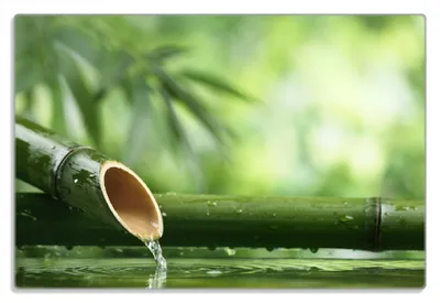 Produktbild von Wallario Frühstücksbrettchen aus Glas 20 x 30 cm mit rutschfesten Füßen, Motiv Bambusquelle  Bambusrohr mit Wasser