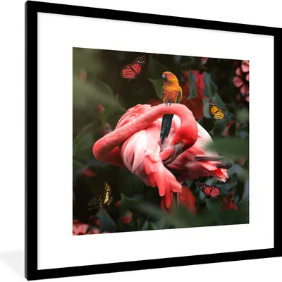 Produktbild von MuchoWow® MuchoWow® Gerahmtes Poster Flamingo - Tiere - Dschungel 40x40 cm - Poster mit zchwarzem Bilderrahmen - Poster - Plakat im Rahmen