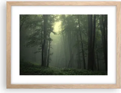 Produktbild von Gerahmtes Poster - Rahmen in heller Eiche - Wald Nebel Baum - 40x30 cm - Wand Bild - Wanddeko - Wandbilder - Kunstposter - Wandposter - Bilderrahmen - Bilder - Kunstdruck - Wandbild - P2NAA40x30-3543