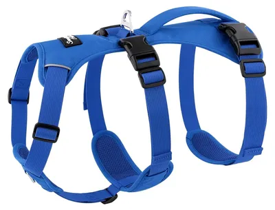 Immagine prodotto di Imbracatura leggera per cani - Traspirante e antiscappamento - Blu, taglia media