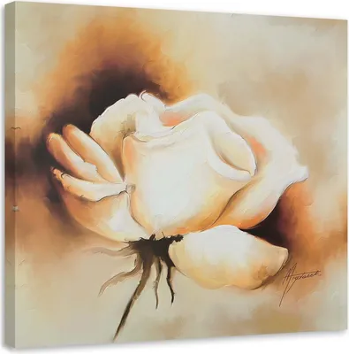 Produktbild von Leinwandbild weiße rosenknospe 50x50 cm Feeby beige wandbild bereit zum aufhängen