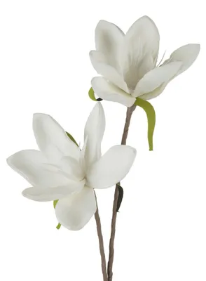 Zdjęcie produktu dla Kwiat sztuczny magnolia piankowy 70 cm biały x6
