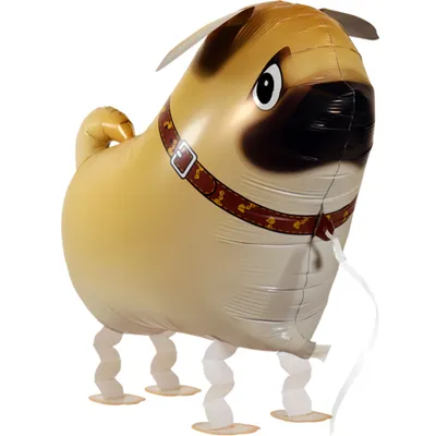 Obrázok produktu pre Fóliový balón Airwalker mopslík, približne 60 x 41 cm