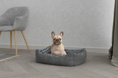 Productafbeelding van Beddegoed voor Honden en Katten, Dierenhuisje, 62 x 50 x 17 cm