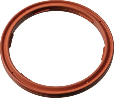 Produktbild von FEBI BILSTEIN Dichtring Motorölstandsensor 183988 für VW Golf VII Schrägheck (5G1, BQ1, BE1, BE2) FPM (Fluor-Kautschuk) 0,004kg