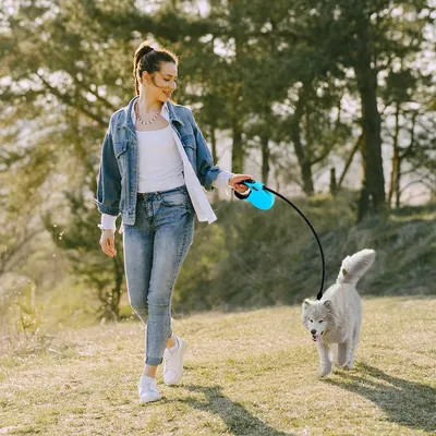 Produktbild von Einziehbare Hundeleine 35 m mit rutschfestem Griff und reflektierendem Band für kleine Hunde