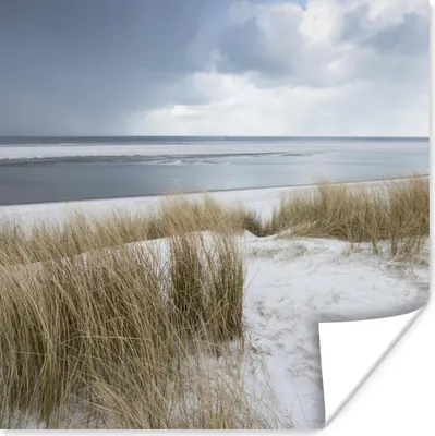 Produktbild von MuchoWow® Poster Nordsee - Dünen - Wasser 50x50 cm - Wohnzimmerdekoration