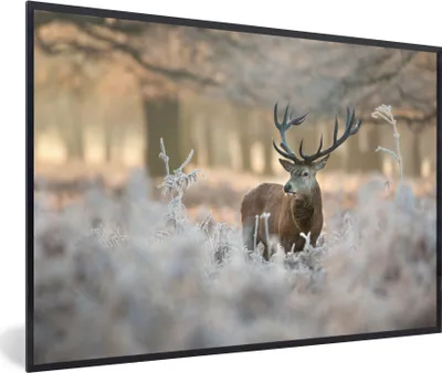 Produktbild von MuchoWow® MuchoWow® Gerahmtes Poster Hirsche - Tiere - Winter 30x20 cm - Poster mit zchwarzem Bilderrahmen - Kunstdruck - Bild-Poster