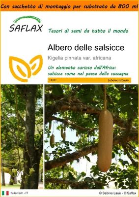 Immagine prodotto di SAFLAX Garden in the bag - Albero delle salsicce - 10 semi - Kigelia