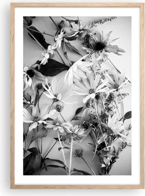 Produktbild von Gerahmtes Poster - Rahmen in heller Eiche - Blumen Schwarzweiß Fotografie - 50x70 cm - Wand Bild - Wanddeko - Wandbilder - Kunstposter - Wandposter - Bilderrahmen - Bilder - P2NPA50x70-4740