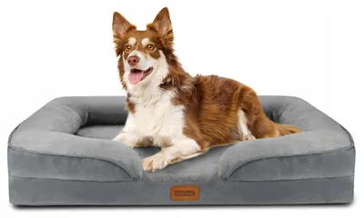 Immagine prodotto di Nobleza, cuccia ortopedica per cani, colore grigio, dimensioni 106x80 cm