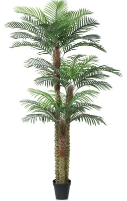 Zdjęcie produktu dla Sztuczna palma, 240 cm, odporna na promieniowanie UV, do użytku zewnętrznego i dekoracyjnego