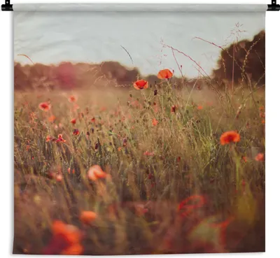 Produktbild von MuchoWow® Wandteppich Wandbehang Sonnenuntergang - Blumen - Rot 120x120 cm Tapisserie Dekoration Wandtuch - Modern - Baumwollgewebe