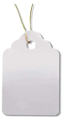 Produktbild von 100 Pflanzenanhänger mit Schnur, wetterfest, Kunststoff, 3,5 x 2,5 cm, weiß