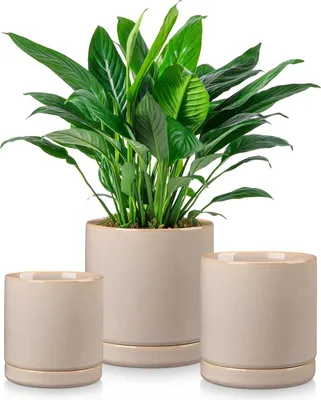 Image de Pot de fleurs en céramique, Idéal pour les succulentes, Vase de table décoratif, Gris