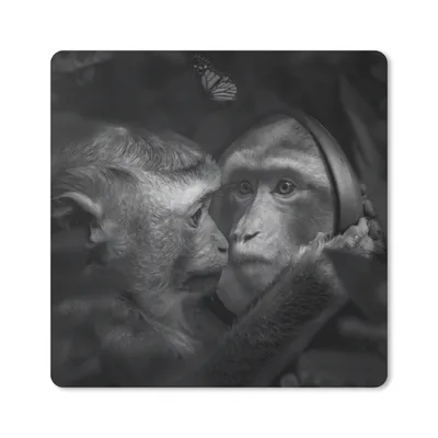 Produktbild von MuchoWow® Mauspad Mousepad Schmetterling - Affe - Tiere - Dschungel - Schwarz - Weiß 30x30 cm - Mousepads - Maus Mat - Pad - Mausunterlage - Gaming