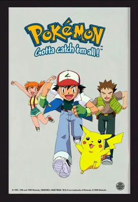 Immagine prodotto di Pokemon - Pokémon - Corsa per bambini 20x30cm specchio stampato in cornice di plastica