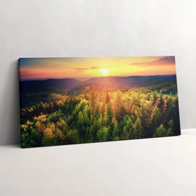 Produktbild von Sonnenuntergang über den Waldhügeln – Leinwandbild Wandbild – 100x50 cm – Leinwandbilder – Wandbilder – Schlafzimmer – Flur