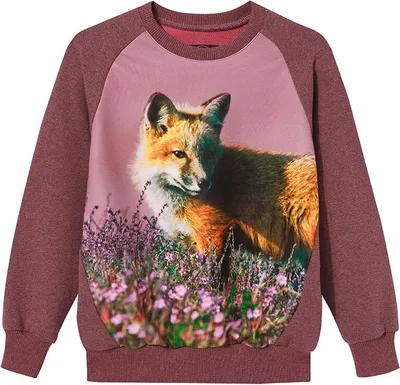 Produktbild von Wadera, Baumwolle Pullover Kinder Kinderpullover, 134/140, Rosa, mit Fuchs