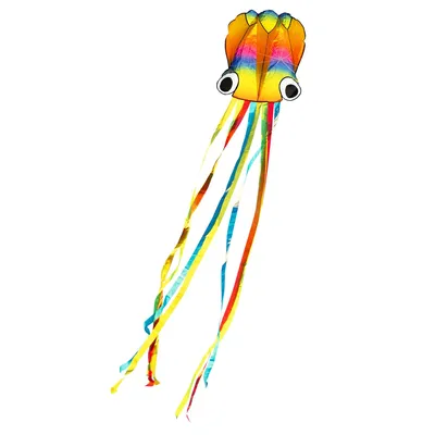 Immagine prodotto di Bambini aquilone linea singola HQ Arcobaleno Octopus aquilone volante