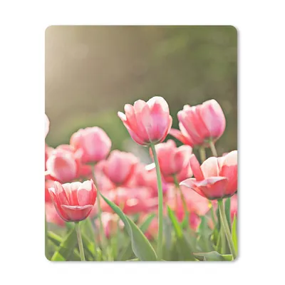 Produktbild von MuchoWow® Mauspad Mousepad Tulpen - Sonne - Frühling 19x23 cm - Mousepads - Maus Mat - Pad - Mausunterlage - Mauspads - Spielen