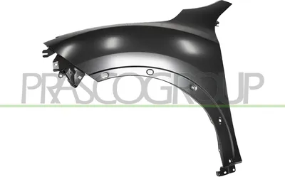 Produktbild von PRASCO DS7023034 Kotflügel Vorne Links für NISSAN JUKE (F15)