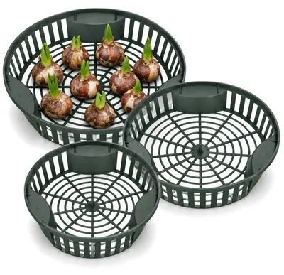 Produktbild von com-four® 3 Pflanzkörbe für Blumenzwiebeln, Zwiebelkörbe in 3 Größen