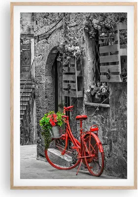 Produktbild von Gerahmtes Poster - Rahmen in heller Eiche - Rot Fahrrad Allee - 61x91,5 cm - Wand Bild - Wanddeko - Wandbilder - Kunstposter - Wandposter - Bilderrahmen - Bilder - Kunstdruck - P2NPA61x91-4410