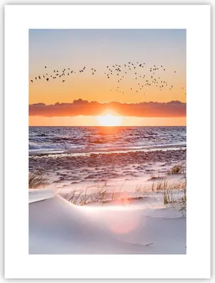 Produktbild von Poster - Poster ohne Rahmen - Sonne Strand Vögel - 30x40 cm - Wand Bild - Wanddeko - Wandbilder - Kunstposter - Wandposter - Bilder - Kunstdruck - Wanddekoration - Wandbild - P2XPA30x40-4727