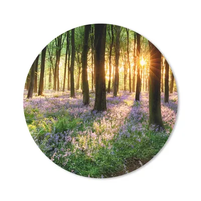 Produktbild von MuchoWow® Mauspad Mousepad Wald - Blumen - Lavendel - Sonne - Lila - Natur 50x50 cm - Mousepads - Maus Mat - Pad - Mausunterlage - Vinyl