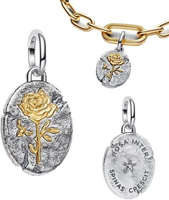 Immagine prodotto di Ciondolo in argento sterling 925, charms dorati, per bracciale e collana, pendenti per gioielli