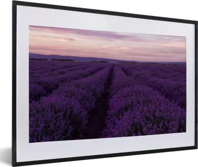 Produktbild von MuchoWow® Gerahmtes Poster Lavendel - Lila - Blumen - Natur 60x40 cm - Poster mit Schwarzem Bilderrahmen Wandposter Rahmen Foto Bilder - Schlafzimmer - Plakat in Rahmen - Drucken
