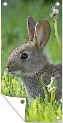 Produktbild von MuchoWow® 80x160 cm Outdoor-Poster Gartendeko Sichtschutz Garten Poster für den Garten  Kaninchen - Blumen - Gras